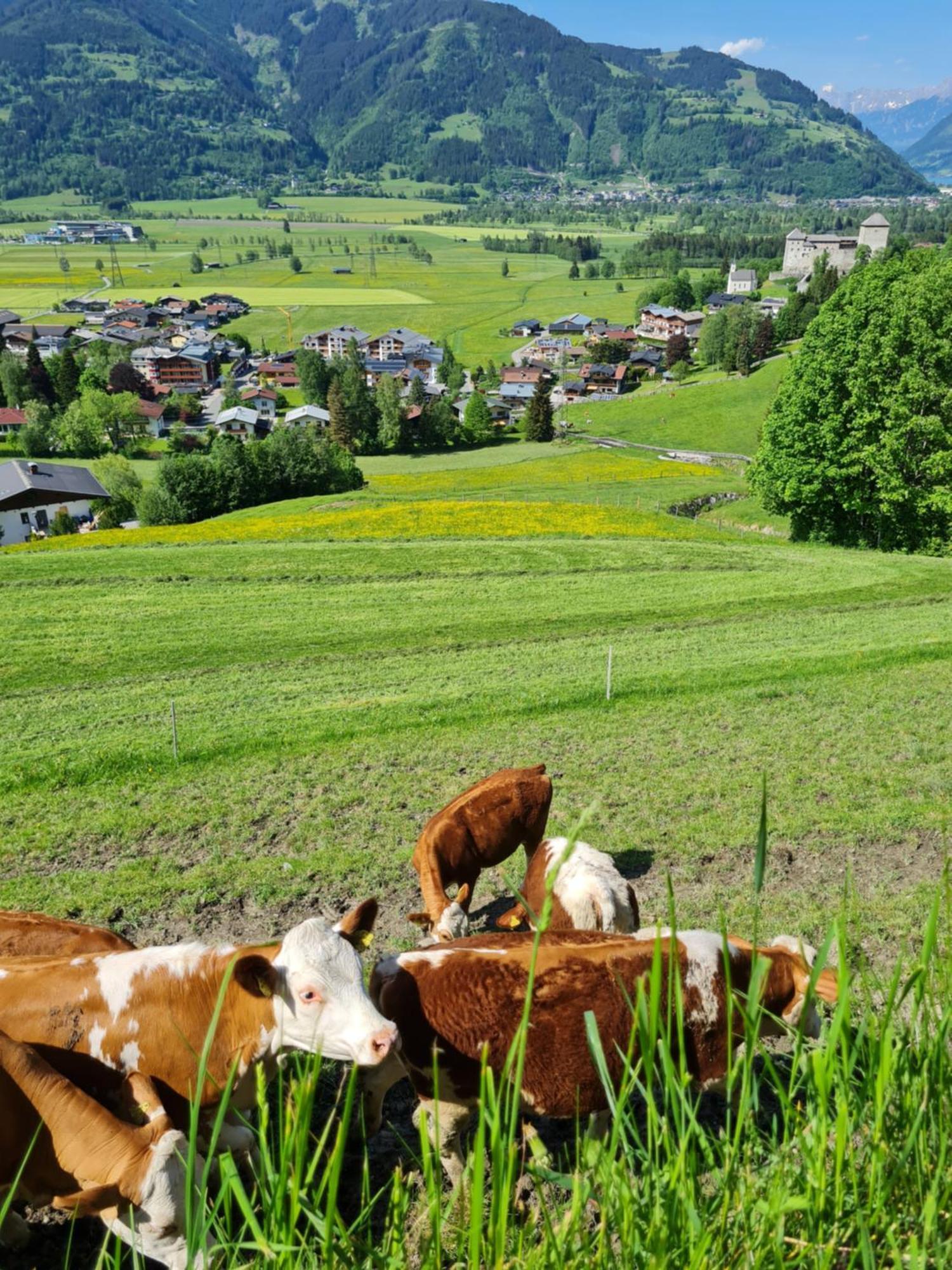 Panorama Hotel Guggenbichl - Inkl Sommerkarte, Freier Eintritt Ins Tauern Spa & Bester Ausblick Uber Kaprun Exteriör bild